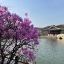 중앙공원_하 이미지