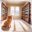 현대동물병원 애견용품 | 운정 애견분양 알고 보면 더 중요한 것들