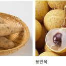 (088) 은행 넣은 참마 젤리는 아이의 몸을 따뜻하게 해준다. 이미지