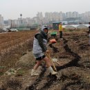 현암농장 이미지