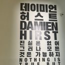 21세기 동규약국 | [전시] 국립현대미술관｜데이미언 허스트 개인전 관람 후기