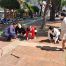 계룡초등학교 이미지