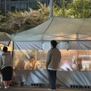 가산 달밤 포차 야장 감성(닭꼬치,우동)미쵸따