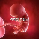 품위유지비가 없어서 품위없이