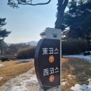 [청주 그랜드 CC] 겨울골프 후기