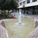 열린프라자약국 | 베네치아 여행 시내 구경 마르코 폴로 공항에서 파리 오를리 공항까지 이지젯 체크인