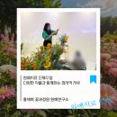 치유정원연구소 이미지