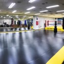 원펀치 복싱클럽 이미지