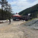 대금산진달래길(등산) | 4월 경남 거제도 대금산 진달래 후기(주차, 개화 정도)