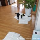 퀸스애견학교