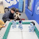 삼척 어린이 과학관 과학놀이 체험관 예약 주차 삼척 아이와 가볼만한 곳
