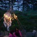 양양에 살다 이미지