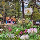 프랑스가든펜션 | 서울 근교 가족여행 | 켄싱턴리조트 가평 가든 BBQ 숙박 후기