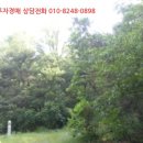 내가면-6 이미지