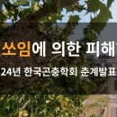 말벌쏘임에 의한 피해현황. 24년 한국곤충학회 춘계발표.﻿ 이미지