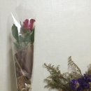 순종철판동태찜 이미지