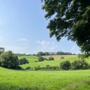 연준농장 | UK 上