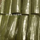 창포담배