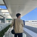 [오키나와 태교여행 DAY 1] KS Rent a car/우미 카지 테라스(타코 라이스 카페 키지 무나)/하얏트...