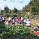 서귀어린이집 이미지