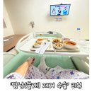 한마음토마토 | 담낭(쓸개)제거술 (ft.창원 한마음 병원)