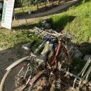 자전거생각 이미지