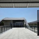 케렌시아파트너스 | 경주 애견동반 여행 케렌시아 애견카페 (대형견 의 날)