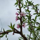 용죽경로당 이미지