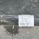 박민수신경과 이미지