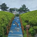 서산버드랜드 | 충청남도 서산 아기랑 가볼만한 곳 아기랑실내 서산버드랜드 서산가족여행 내돈내산 솔직후기