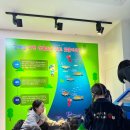 별빛정원어린이집 이미지