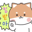 메이플푸드 이미지