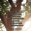 1088 | 사랑 명상 1088