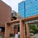 도그소사이어티 | 성수 애견동반 카페 천상가옥 성수연방 강아지랑 갈만한 곳