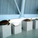 진해박물관 이미지