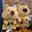 사비게임장 이미지