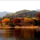 유스호텔 진입로  유스호텔 이미지