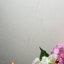 하동호호스테이 이미지