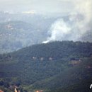 이성사무소 이미지