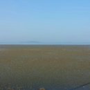 몽산포 해변 이미지