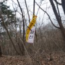 곡성-204 이미지