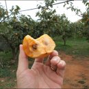 시목농장 이미지