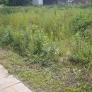 전원부동산중개사무소 이미지