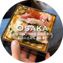 일본 오사카여행/ 한신우메다 다이마루 한큐 백화점 식품관 둘러보기 도시락 후기 #내돈내산 오사카...