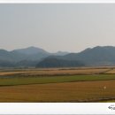 오방농장 이미지