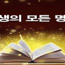 명언과 속담. 시장. 시집살이. 시체. 식견 이미지
