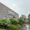 세계술박물관 | [제주 세계 술 박물관] 술덕후라면 무조건 좋아할 곳! 전시·라벨존·시음까지 알찼다