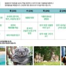 연수캠프 이미지