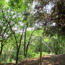 5월18일 너구리산(군포수릿길 3코스-4) 이미지