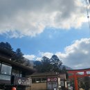 공물민박 | [일본/도쿄&amp;하코네] 2-2 하코네 해적선, 붉은 토리이(희망의 토리이), 하코네 신사, 모토하코네 구경 후...